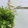 . "Luxury curtain fabric in rich, textured design – perfect for elegant home décor."